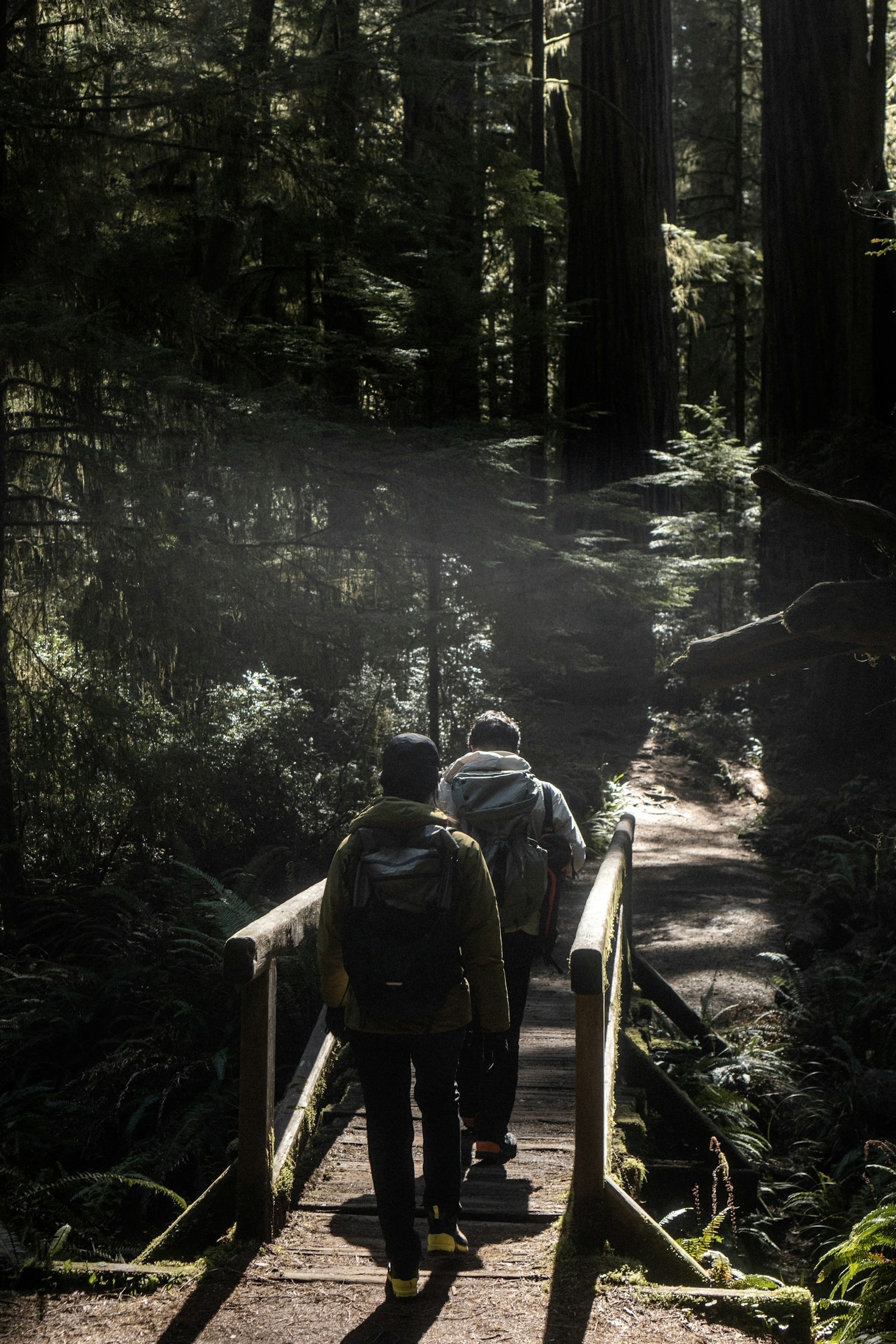 5 Rute Hiking Terpopuler di Boise