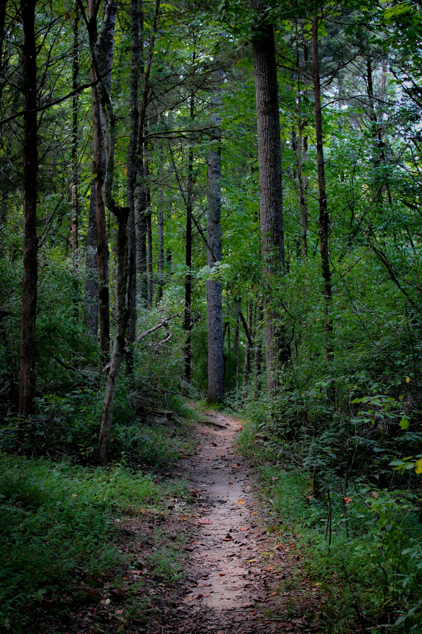 Bersepeda di Gunung dan Lembah Boise